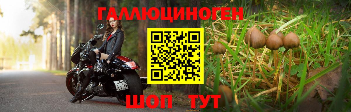 Псилоцибиновые грибы Magic Shrooms  Галлюциногенные грибы MAGIC MUSHROOMS  Новочебоксарск  Вход с VPN 